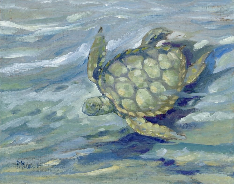 Picture of EAST POINT SEA TURTLE