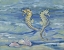Picture of EAST POINT SEAHORSES