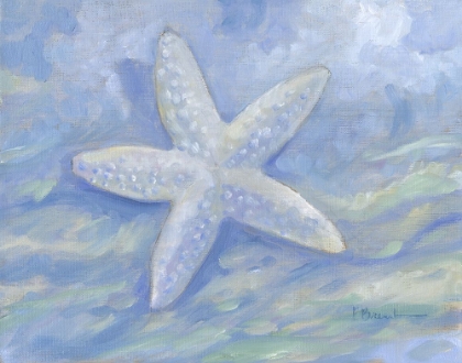 Picture of IMPRESSIONS OF SHELLS II - STARFISH