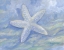 Picture of IMPRESSIONS OF SHELLS II - STARFISH