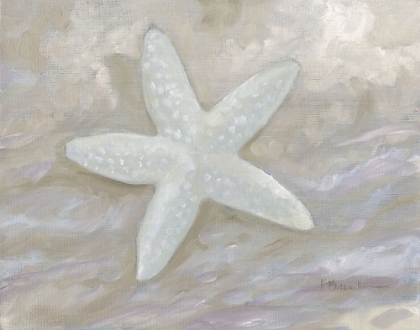 Picture of IMPRESSIONS OF SHELLS II - STARFISH - NEUTRAL