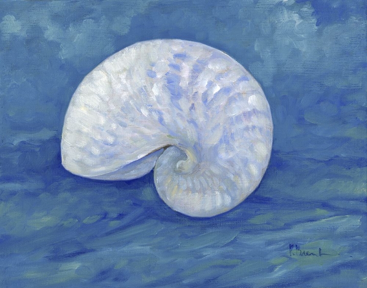 Picture of IMPRESSIONS OF SHELLS III - NAUTILUS - INDIGO