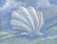 Picture of IMPRESSIONS OF SHELLS IV - SCALLOP
