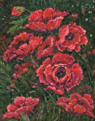Picture of IMPRESSIONS OF POPPIES