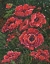 Picture of IMPRESSIONS OF POPPIES