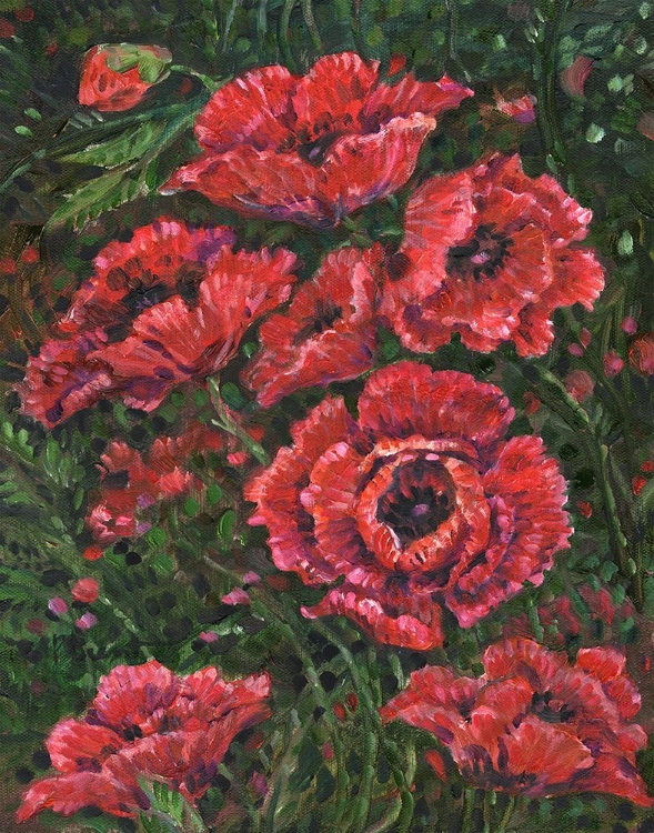 Picture of IMPRESSIONS OF POPPIES