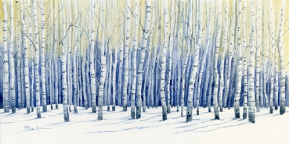 Picture of WHITE FOREST