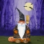 Picture of SPOOKY FOREST GNOME IV