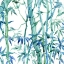 Picture of BAMBOO GROVE III