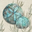 Picture of CRESCENT BEACH SHELLS I