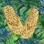 Picture of ANIMAL PRINT FLIP FLOPS II