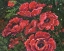 Picture of IMPRESSIONS OF POPPIES HORIZONTAL I