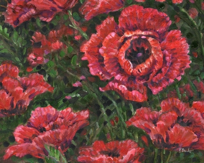 Picture of IMPRESSIONS OF POPPIES HORIZONTAL II