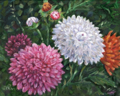 Picture of IMPRESSIONS OF DAHLIAS HORIZONTAL I