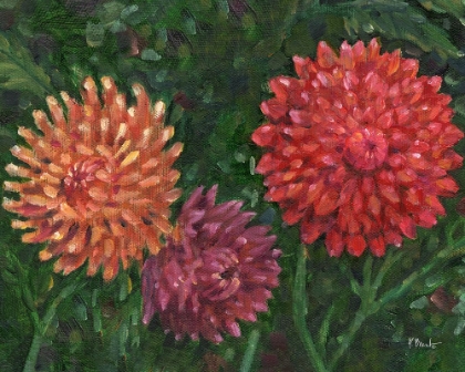 Picture of IMPRESSIONS OF DAHLIAS HORIZONTAL II