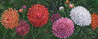 Picture of IMPRESSIONS OF DAHLIAS HORIZONTAL III