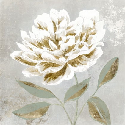 Picture of WHITE SAGE I