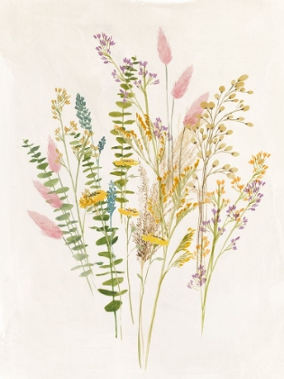 Picture of DRIED FLOWER I