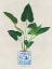 Picture of GREENS IN VASE I