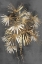 Picture of GOLDEN PALM TREE