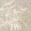 Picture of PALM LIGHT II