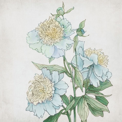 Picture of DELICATE BOTANICAL BLUE I