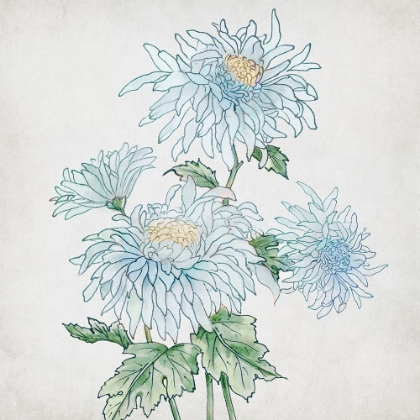 Picture of DELICATE BOTANICAL BLUE II