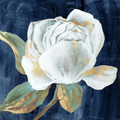 Picture of BLUE PEONY II