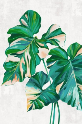 Picture of GREEN TROPICAL LEAVES