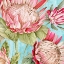 Picture of POPPING KING PROTEA I