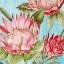 Picture of POPPING KING PROTEA II