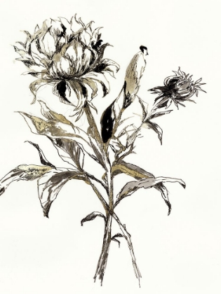 Picture of BOTANICAL SEED I