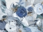 Picture of HEAVENLY BLOOM