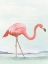 Picture of SUMMER FLAMINGO I