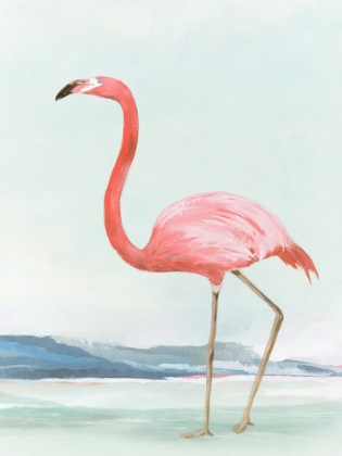 Picture of SUMMER FLAMINGO II