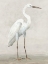 Picture of VINTAGE HERON I