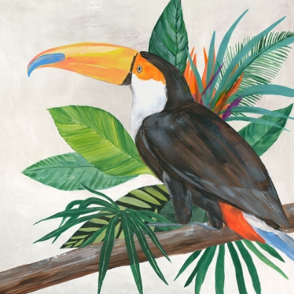 Picture of TROPICAL BIRDS II