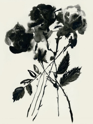 Picture of BLACK FLORA