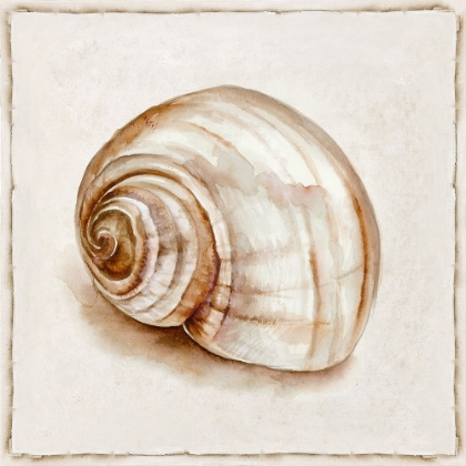 Picture of PINK VINTAGE SHELL II