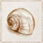 Picture of PINK VINTAGE SHELL II