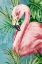 Picture of FLAMINGO IN HOT TROPICS