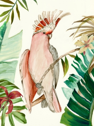 Picture of TROPICAL BIRD I