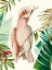 Picture of TROPICAL BIRD I