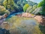 Picture of  ANSA NEL TORRENTE