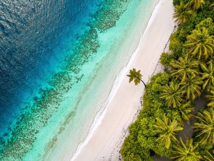 Picture of TROPICAL BEACH, AERIAL VIEW