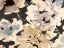 Picture of EARTH FLOWERS II (DETAIL)