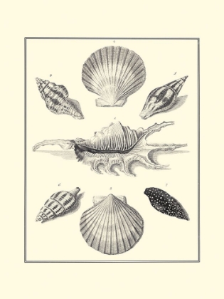 Picture of BW STUDIES IN SYMMETRY I