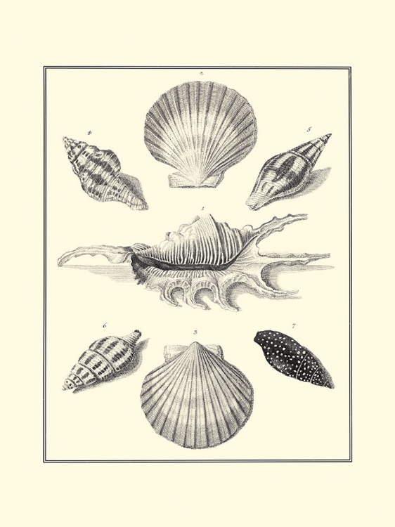 Picture of BW STUDIES IN SYMMETRY I