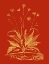 Picture of PAPRIKA BOUQUET III