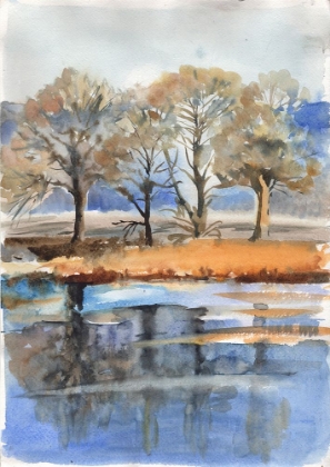 Picture of RIVER WITH TREES